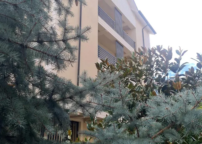 Jolie Boutique Corp B