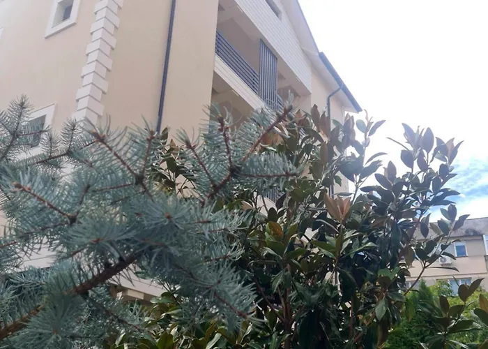 Hotel Jolie Boutique Corp B