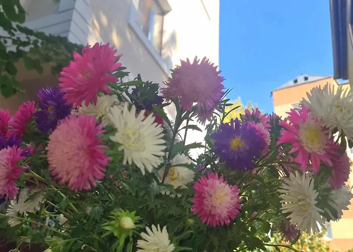 Jolie Boutique Corp B