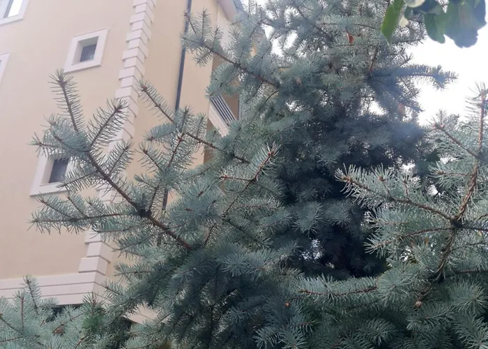 Hotel Jolie Boutique Corp B