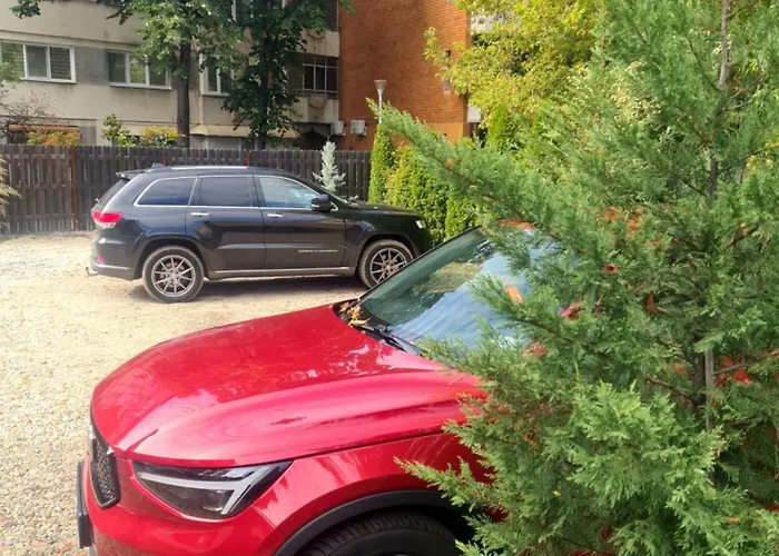 Jolie Boutique Corp B