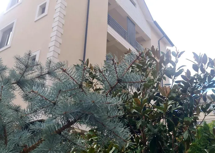 Jolie Boutique Corp B